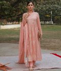 Rose Gold Chikankari Kurta Set
