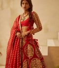 Red Circle Bridal Lehenga - Image 3