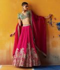 Paaro Lehenga Set