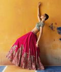 Paaro Lehenga Set - Image 3