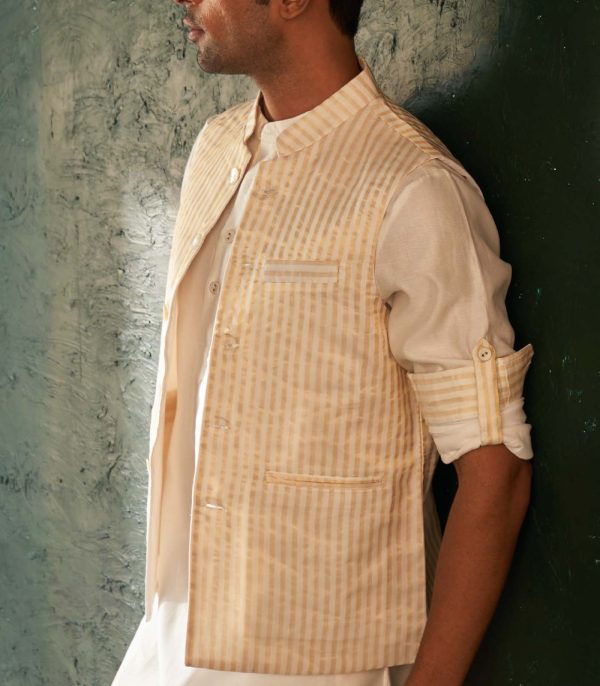 Classic silk tissue pathani set - Image 2