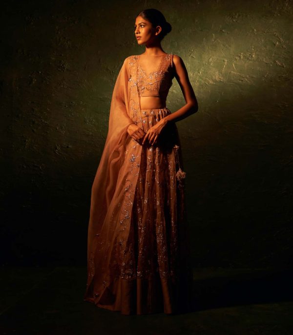 Fawn Lehenga set - Image 2