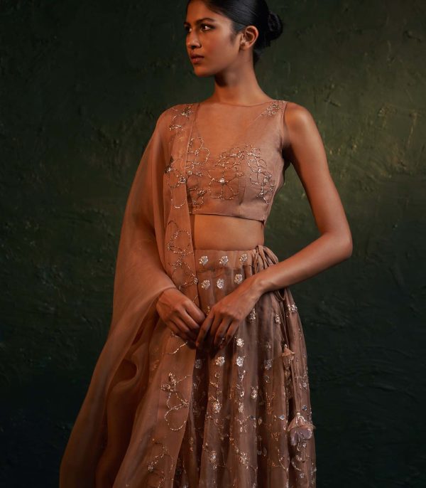 Fawn Lehenga set - Image 5