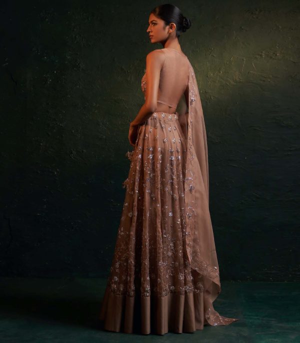 Fawn Lehenga set - Image 3