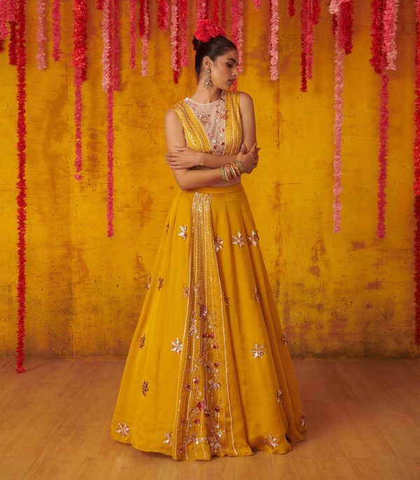 Mustard Embroidered Paneled Lehenga Set