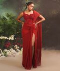 STARDUST SAREE SET