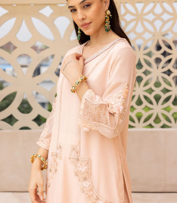 BHAVYA SUIT WITH PLAZZO AND DUPATTA - Image 3