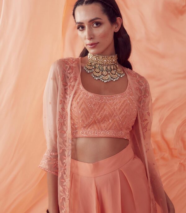 Peach Applique Organza Jacket Set - Image 3