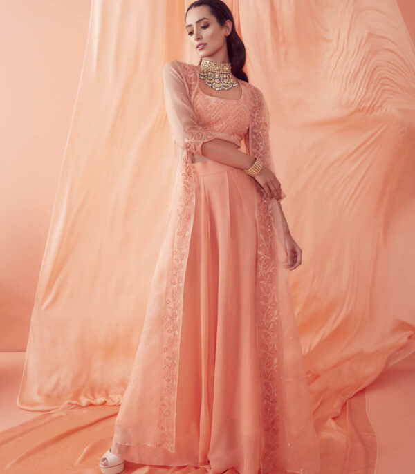 Peach Applique Organza Jacket Set - Image 2