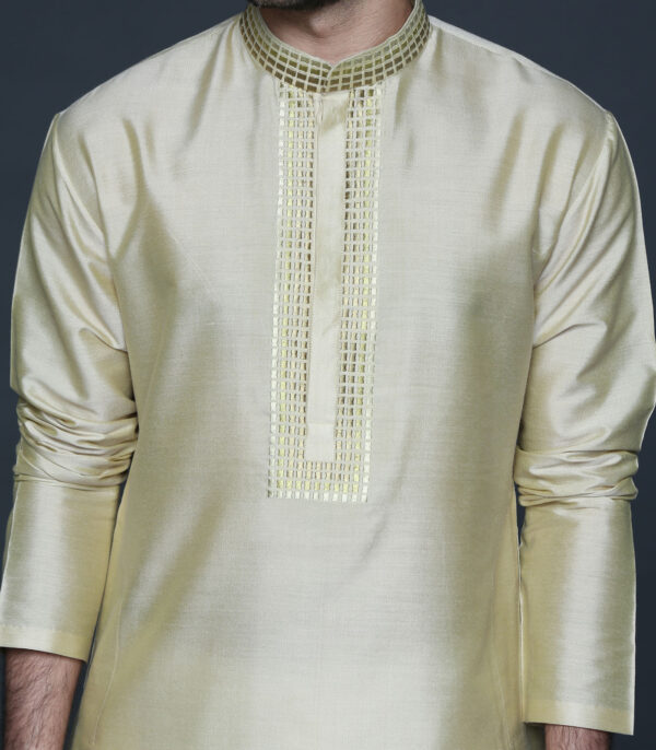 Golden Beige Kurta Set - Image 3
