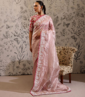 Plaksha - Saree- Multicolor