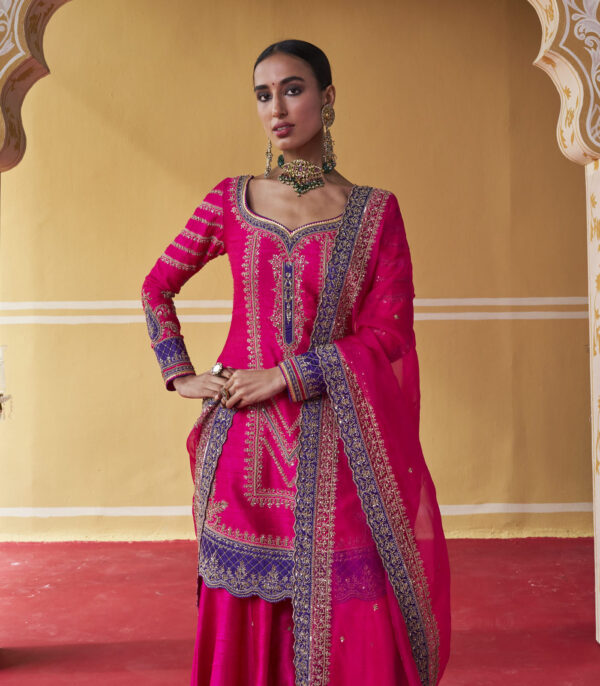 Mala Sharara Set - Image 3