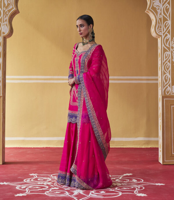 Mala Sharara Set - Image 2