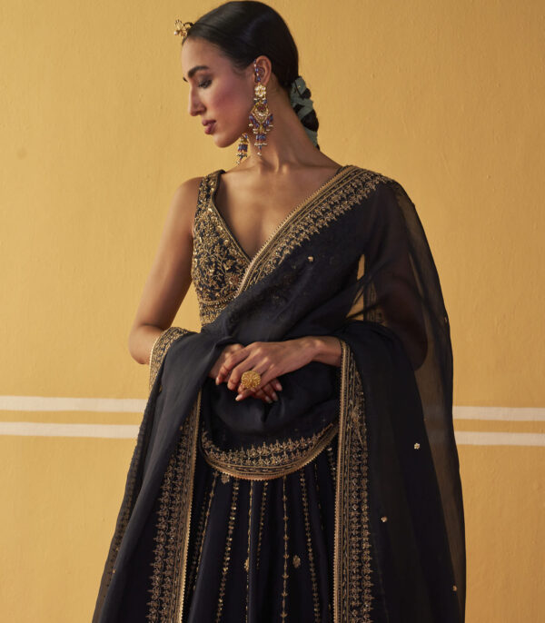 Kajal Lehenga Set - Image 2