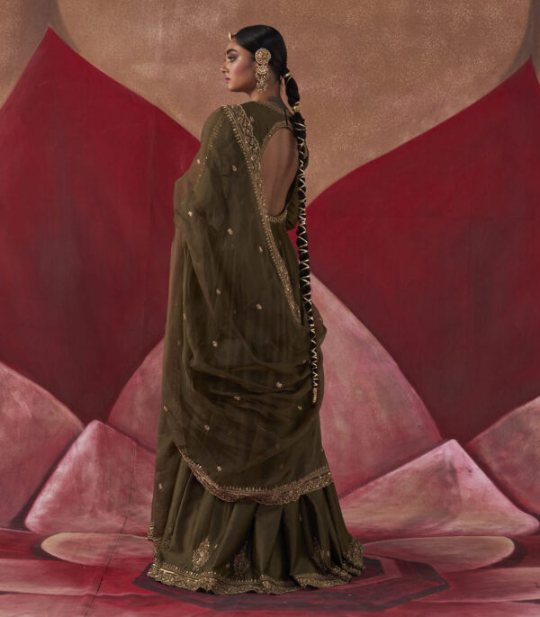 Janki Anarkali set - Image 2