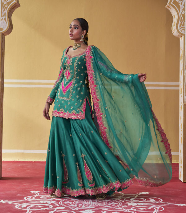 Suhani Sharara Set - Image 2