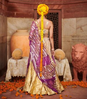 Chandi Sona Halftone Lehenga