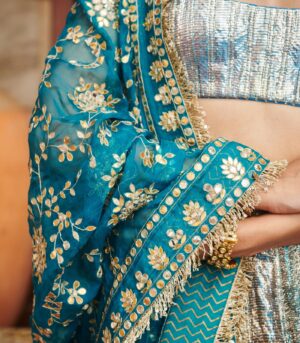 Aasmani Lampi Lehenga