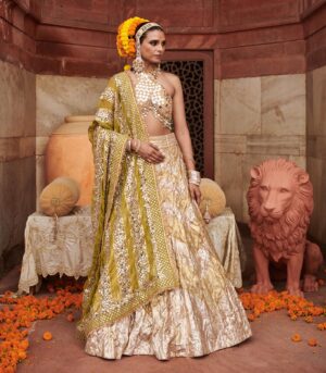 Chandi Sona Chevron Lampi Lehenga