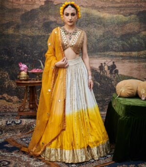 Surabhi Lehenga