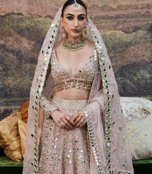 Rang de Gulaab Lehenga and Veil