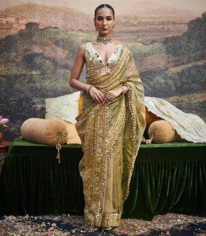 Gaja Rachna Saree