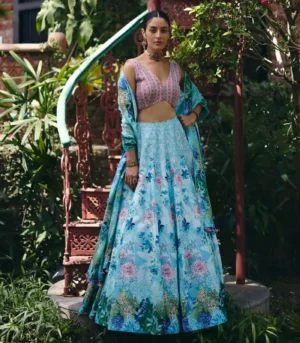 Moonlight Lehenga