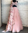 Pink Poetry Lehenga