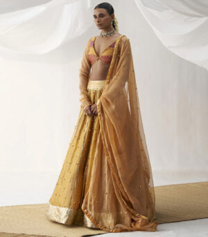 Dev kali Lehenga set