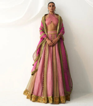 Basanti gulabi Lehenga set