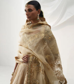 Son champa Lehenga set