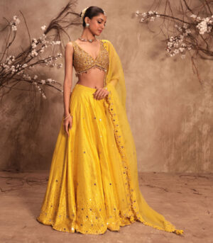 Nazakat Yellow Heavy Mirror Work Sleeveless Lehenga Set