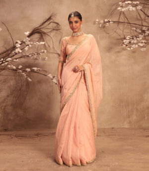 Nazakat Light Pink Mirror Work Scallop Saree Set