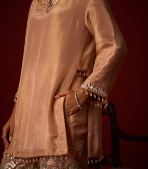 Tissue Mirror Work Hi Neck Tunic