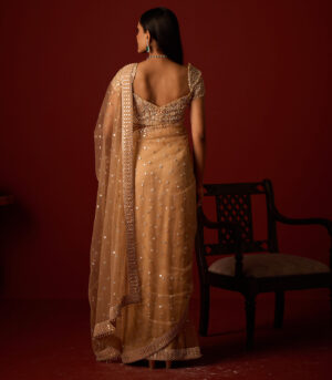 Net Mirrorwork Embellished Saree With Mirrorwork Beadwork Blouse