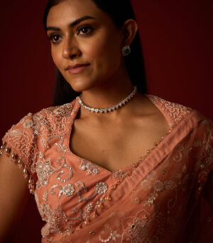 Net Mirrorwork Embellished Saree With Mirrorwork Beadwork Blouse