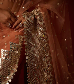 Net Mirrorwork Embellished Saree With Mirrorwork Beadwork Blouse