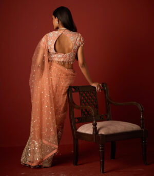 Net Mirrorwork Embellished Saree With Mirrorwork Beadwork Blouse
