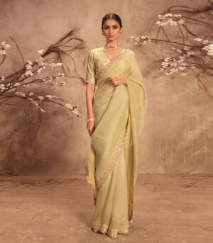 Nazakat Light Green Organza Mirror Work Saree Set