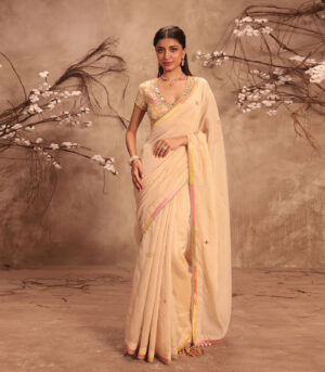 Nazakat Ivory Applique Saree Set