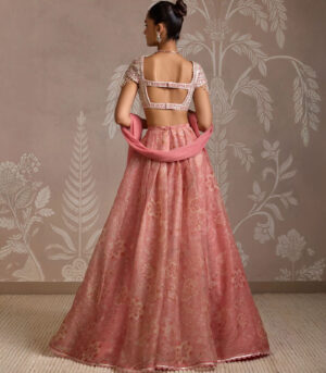 Flare Lehenga Set