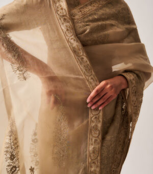 Saree with Stitched Blouse and Belt