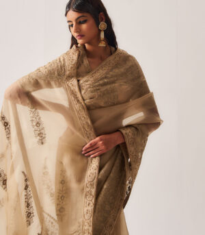 Saree with Stitched Blouse and Belt