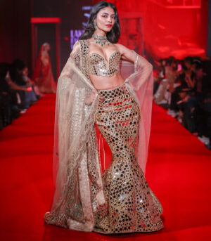 Tarakshi Lehenga Set