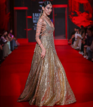 Darpanika Lehenga Set