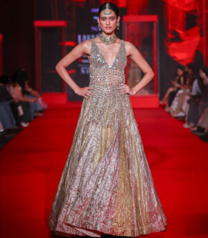 Darpanika Lehenga Set