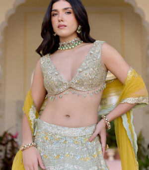 Sage Embroidered Tissue Lehenga Set