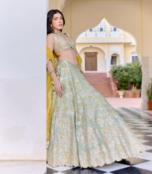 Sage Embroidered Tissue Lehenga Set