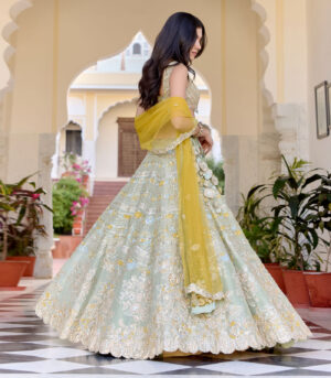 Sage Embroidered Tissue Lehenga Set