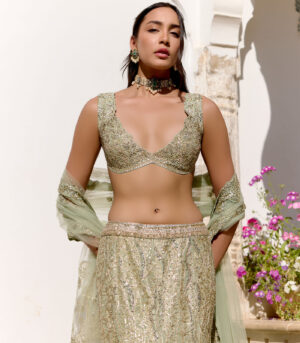 Sage Tissue Fish Cut Lehenga Set